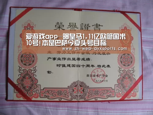 爱游戏官方入口