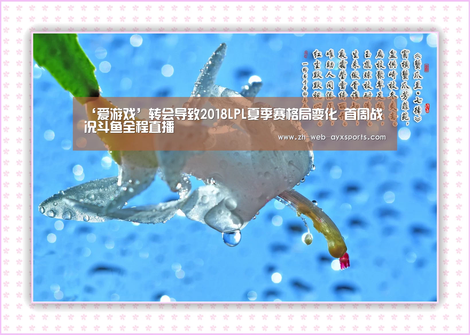 爱游戏app